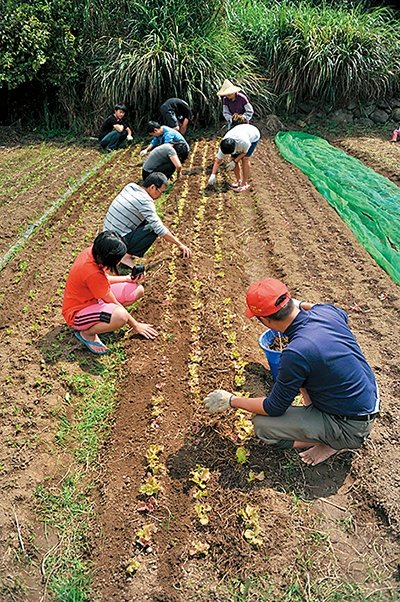 全民瘋野餐｜帶孩子走一趟草地、生態、運動、放空都內小旅行吧～萊爾富