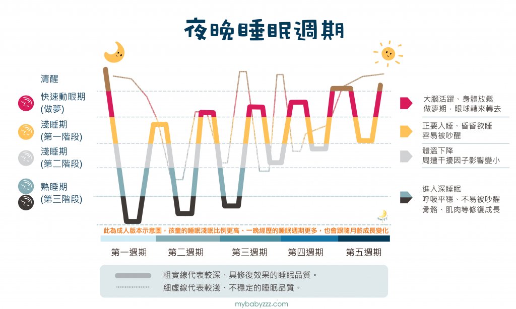 睡眠倒退期