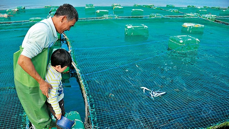 全民瘋野餐｜帶孩子走一趟草地、生態、運動、放空都內小旅行吧～萊爾富